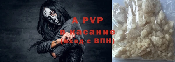 ГАЛЛЮЦИНОГЕННЫЕ ГРИБЫ Осинники