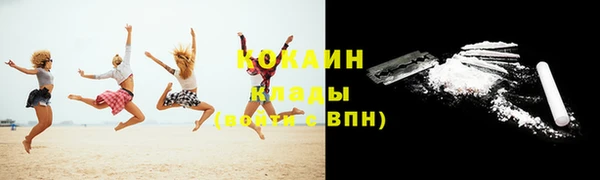 ГАЛЛЮЦИНОГЕННЫЕ ГРИБЫ Осинники