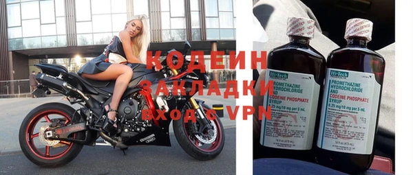 трава Арсеньев