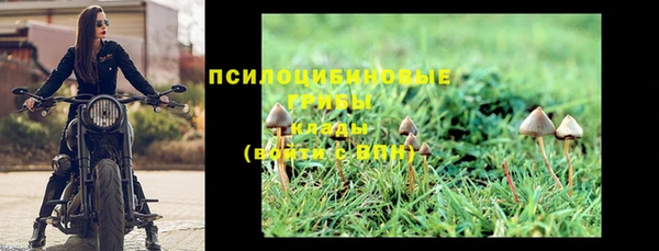 трава Арсеньев