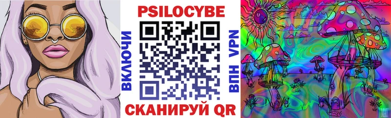 закладка  Строитель  Псилоцибиновые грибы Cubensis 
